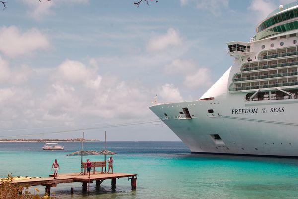 Cruise