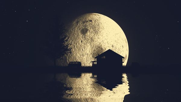 The moon and the stars