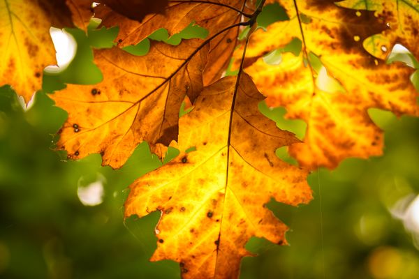 20171018-DSC_1762