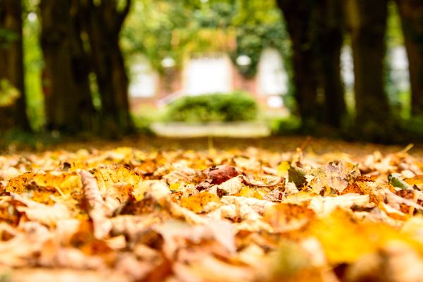 20171018-DSC_1770