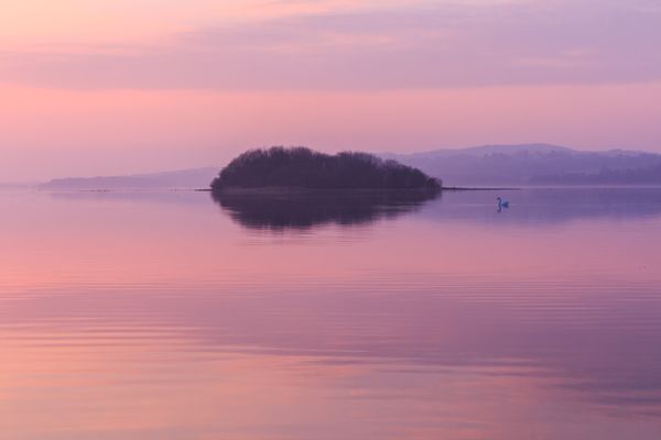Pink Hues On Lough Erne
