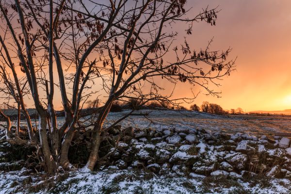 A Cold Sunrise
