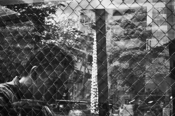 Chicken fence