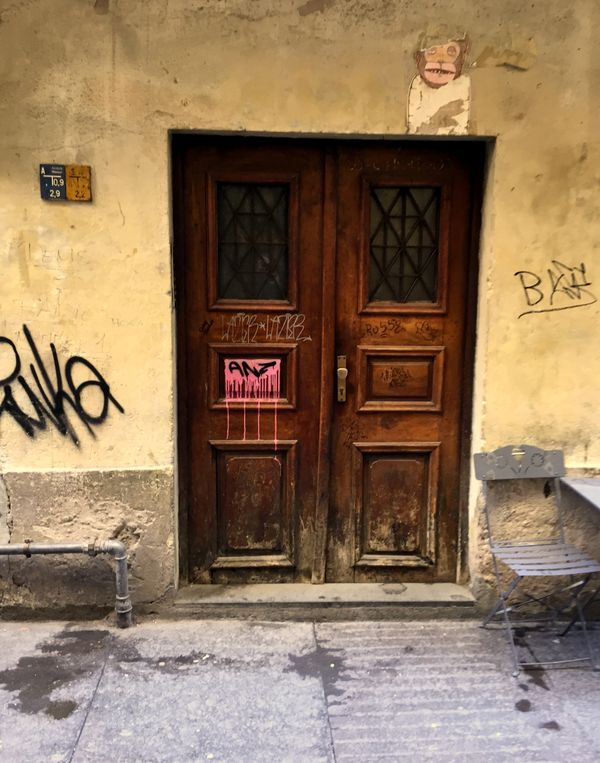 Monkey door