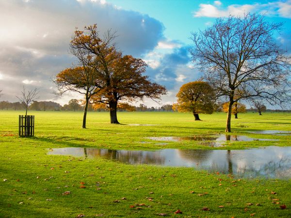 Windsor Deer Park