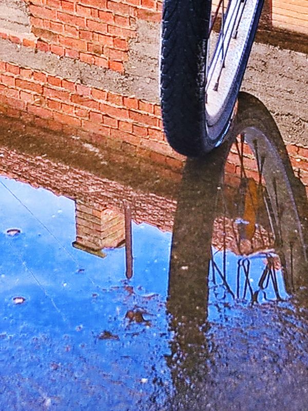 The bicycle wheel - reflection