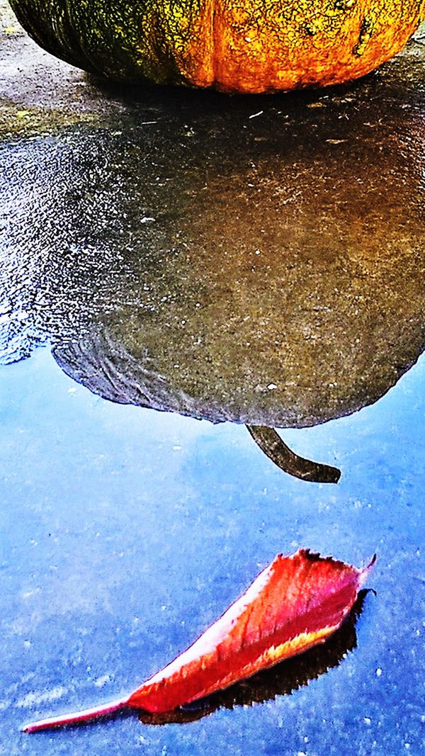 Autumn - reflection
