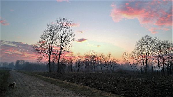 Dusk in Prikostruz