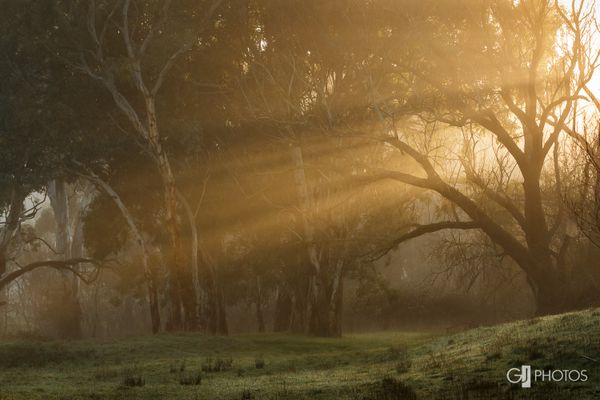 Beams
