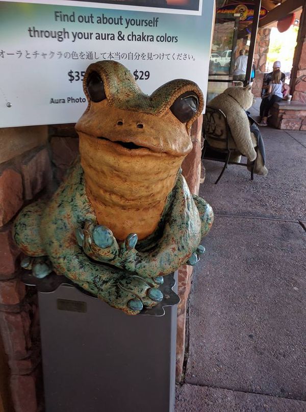 A Frog In Sedona