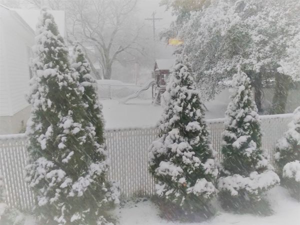 Snow Coming Down