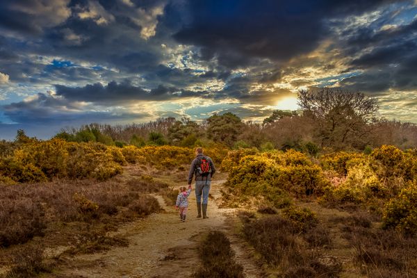 Out On The Wild And Windy Moors