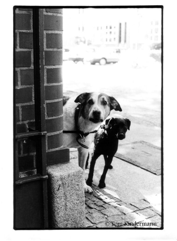 Curiosity