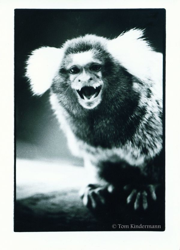 Cute little daemon