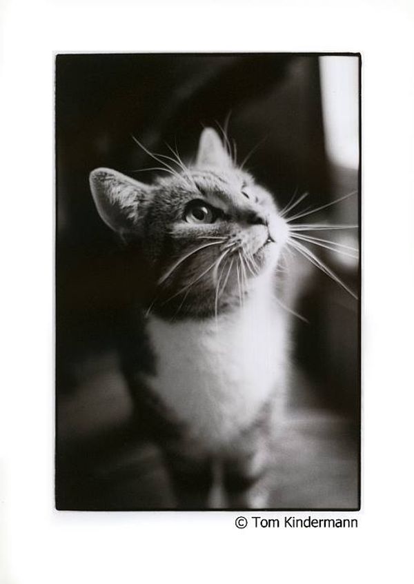 Phinchen