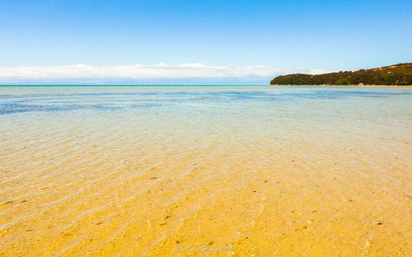 Marahau Beach I