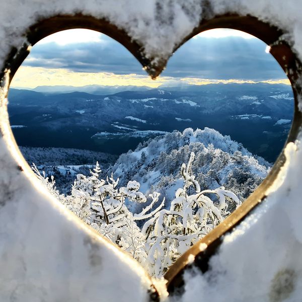 Love snow