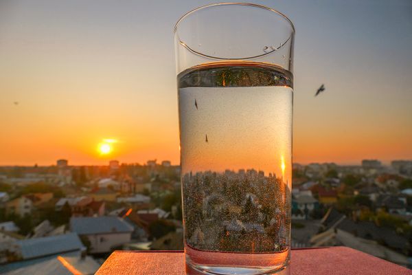 Sunset cocktail2