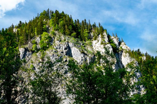 Somewhere in the Bucegi Mountains