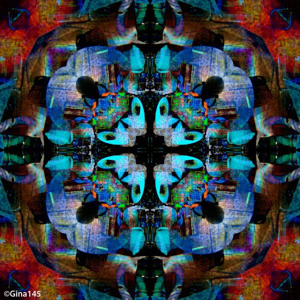 Abstract 5
