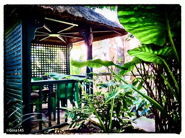 In the Garden