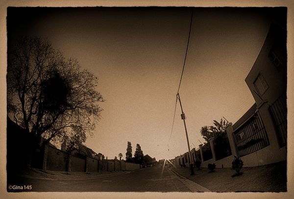 Vintage sunset
