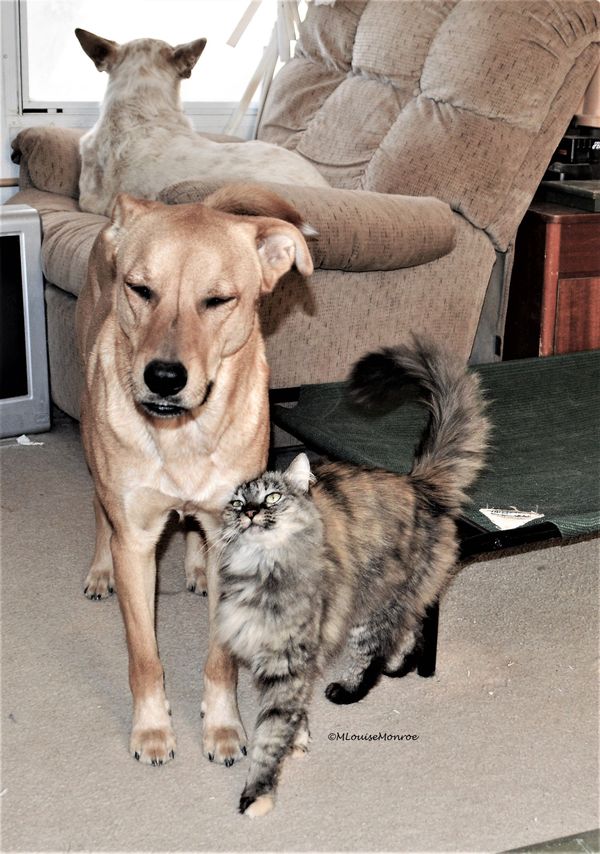 Best Friends