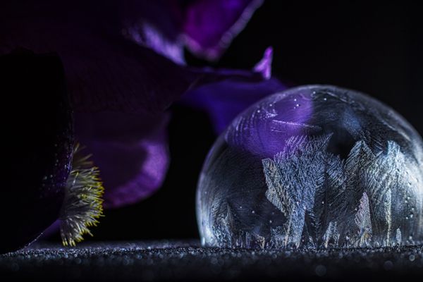 Frozen Bubble With Iris
