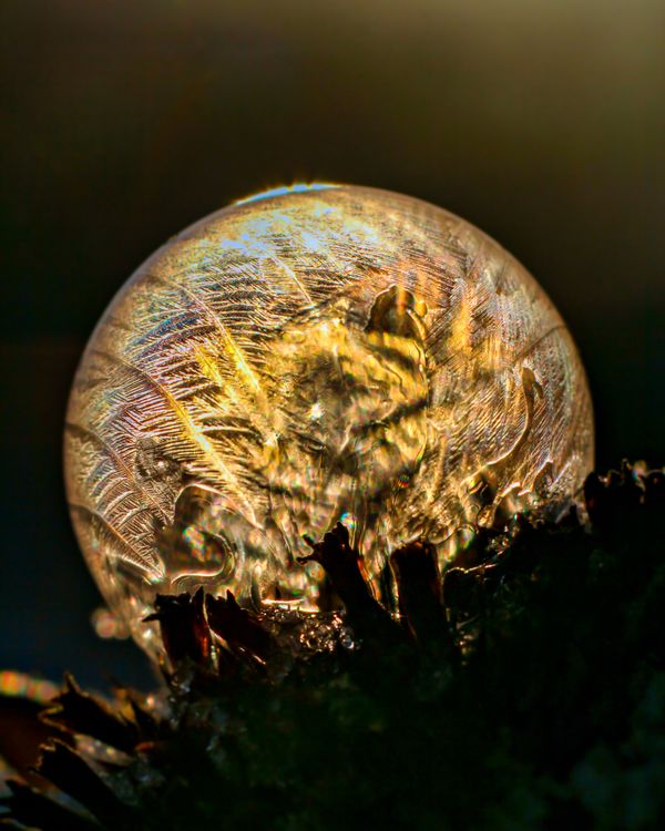 Frozen Bubble 48