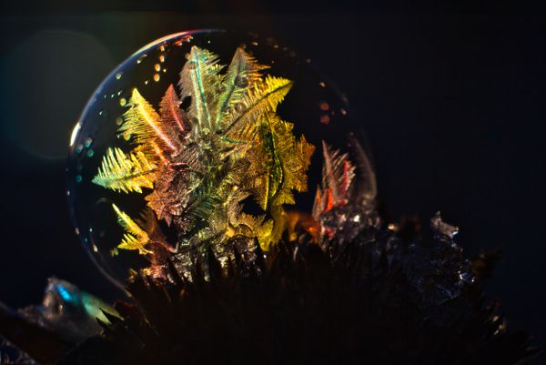 Rainbow Bubble 1
