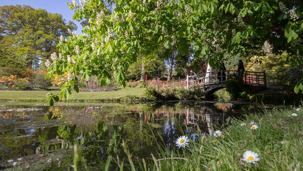 Exbury Gardens