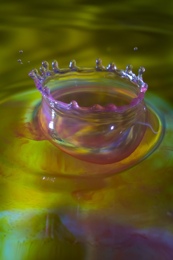 Water Drop