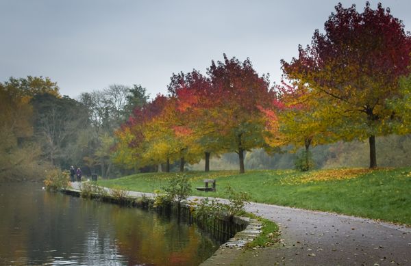 Autumn 2016 1
