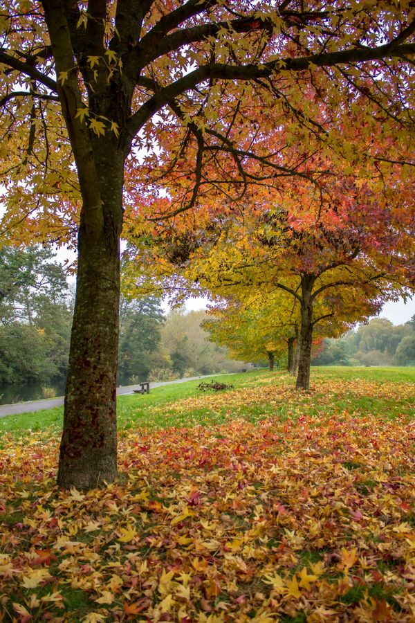 Autumn 2016 2