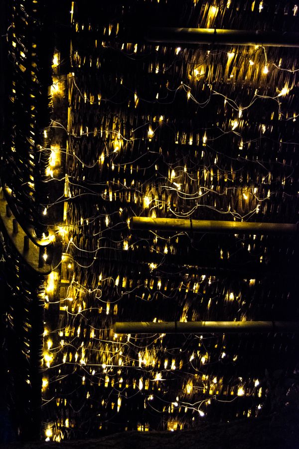 City lights