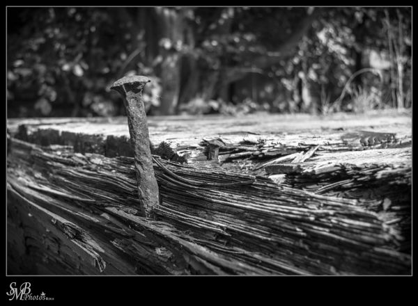 Nail In Wood