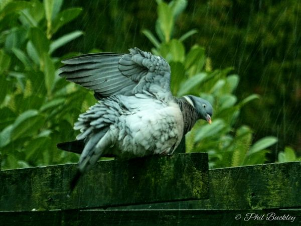 Shower Time!