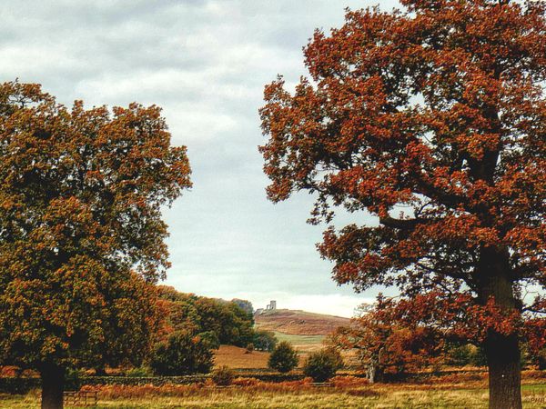 Bradgate Park
