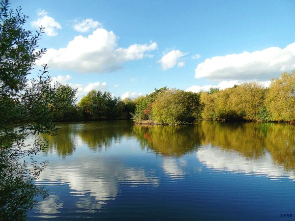 Pailton Pool II