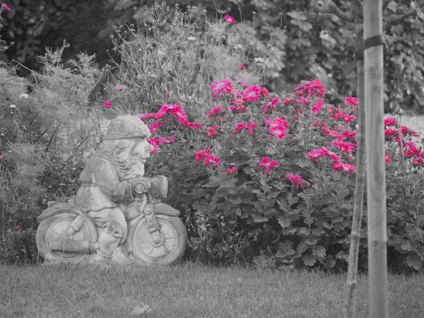 I knew There Was Colour Around Here Somewhere