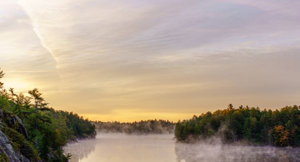 Fall @ Algonquin Park