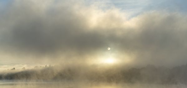 Foggy morning