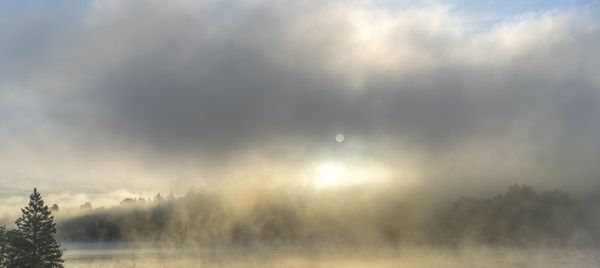 Fall @ Algonquin Park