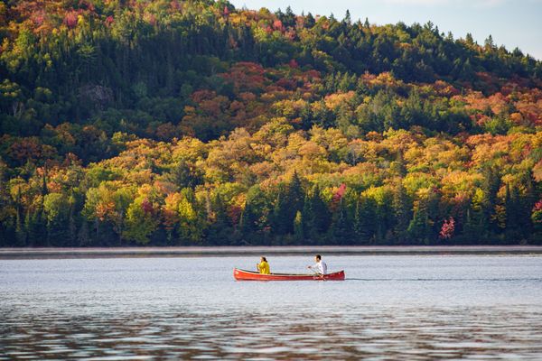 Autumn in Algonquin Park