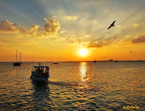 Another Sunset
