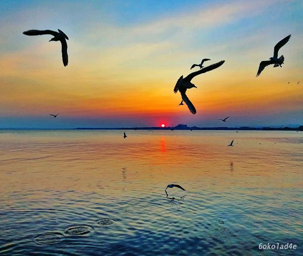 Freedom
