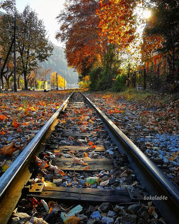 Train Track