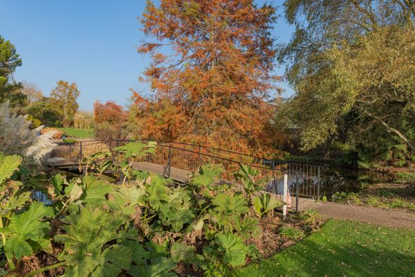 Autumn in the Park