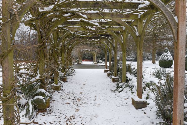 Hylands Park