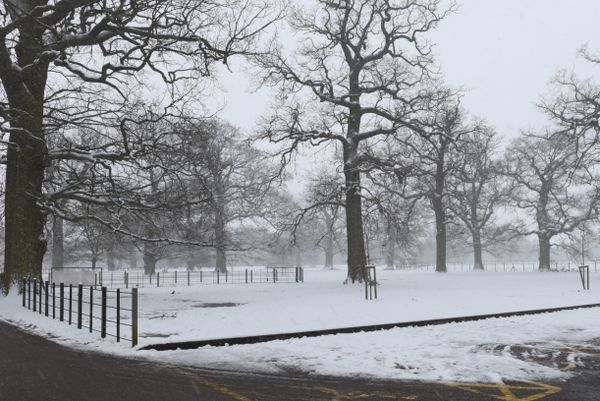 Hylands Park